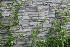 Vassegreen-walls-4.jpg; ?>